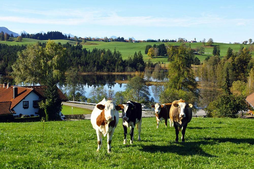 Gasthof "Zum Strauss" Wildsteig Esterno foto